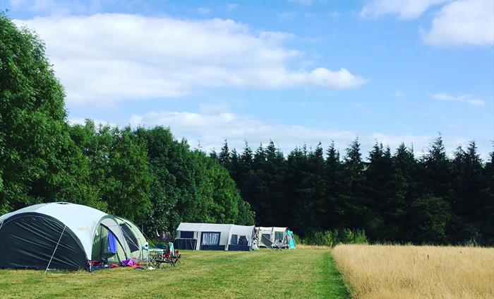 4 acres of wild flower meadow available for pitching up your own tent.